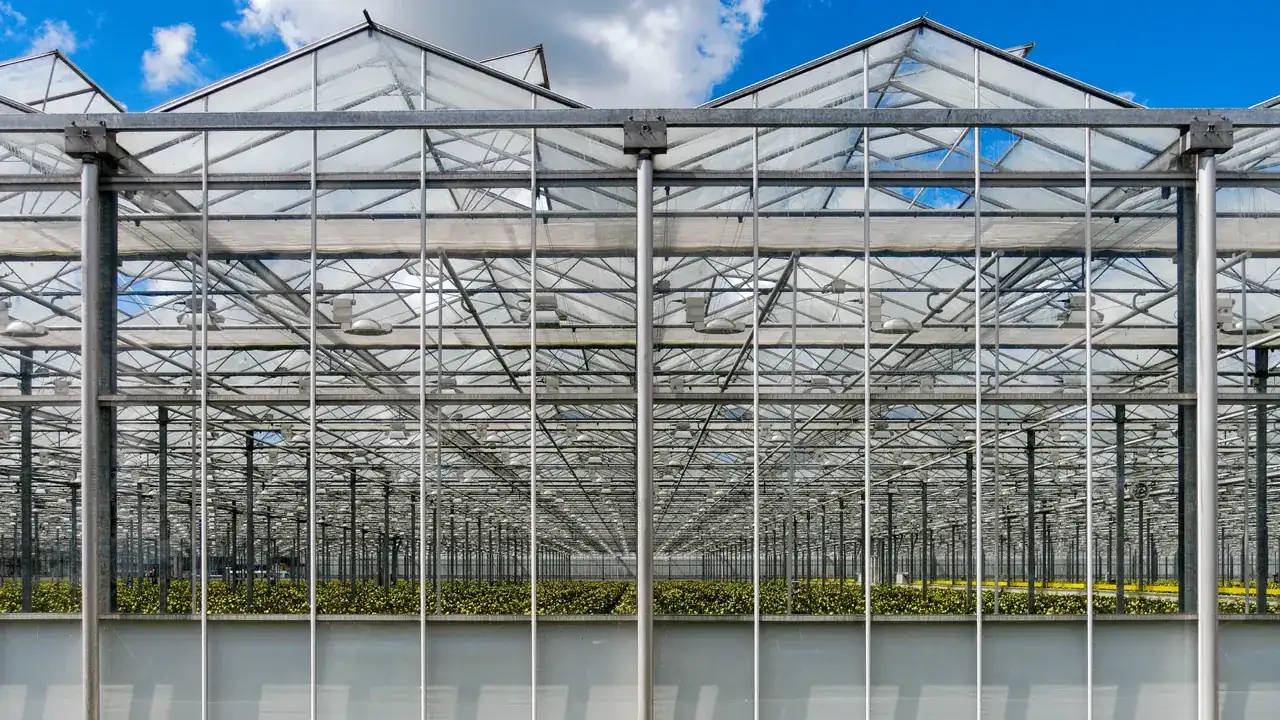 Greenhouse in Westland, the Netherlands